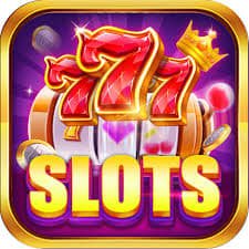 333bet14